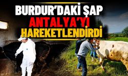 Burdur’daki ŞAP, Antalya’yı hareketlendirdi! Sınırdaki 35 bin hayvan aşılanıyor
