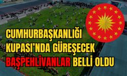Cumhurbaşkanlığı Kupası’na katılacak başpehlivanlar belli oldu