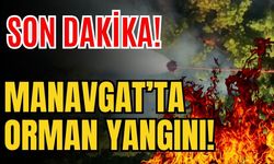 Son dakika! Manavgat’ta orman yangını