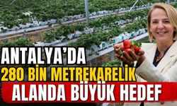 Antalya’da 280 bin metrekarelik alanda büyük hedef