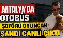 Antalya'da otobüs şoförü oyuncak sandı canlı çıktı