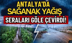 Antalya'da sağanak yağış seraları göle çevirdi!