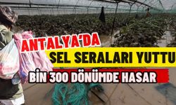 Antalya’da sel seraları yuttu! Bin 300 dönümde hasar