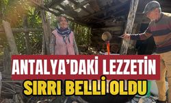Antalya’daki lezzetin sırrı belli oldu
