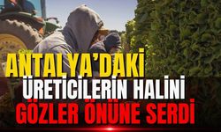 Antalya’daki üreticilerin halini gözler önüne serdi