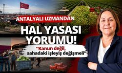 Antalyalı uzmandan Hal Yasası yorumu! Kanun değil, sahadaki işleyiş değişmeli
