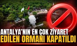 Antalya’nın en çok ziyaret edilen ormanı kapatıldı