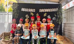 Antalya’nın minikleri zeytinleri topladı