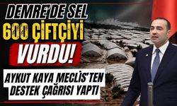Demre'de sel 600 çiftçiyi vurdu! Aykut Kaya Meclis’ten destek çağrısı yaptı