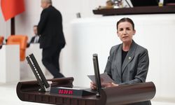 Yeni Parti Antalya Milletvekili Coşar’dan fon ve gazeteci çıkışı