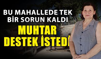 Bu mahallede tek bir sorun kaldı muhtar destek istedi