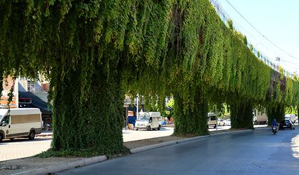 Metro yolu huzur veriyor