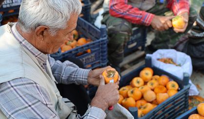 Hurmalı köyü, açık fabrikaya dönüştü