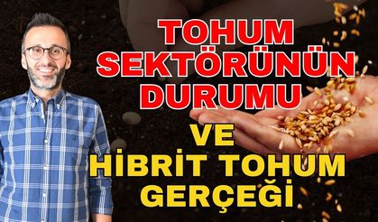 Tarım Gündem'i: Tohum sektörünün durumu ve hibrit tohum gerçeği