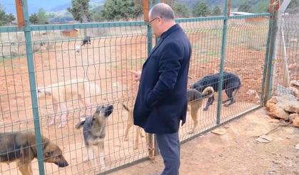 Sokak hayvanları sıcak yuvaya kavuştu
