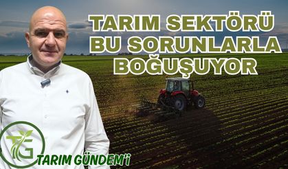 Tarım Gündem'i: Tarım sektörü bu sorunlarla boğuşuyor