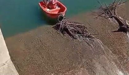 Açık barajda yürekleri ağızlara getiren temizlik çalışması