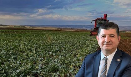 Korkuteli Dereköy'de maden tartışması yeniden gündemde: Cavit Arı'dan mücadele çağrısı