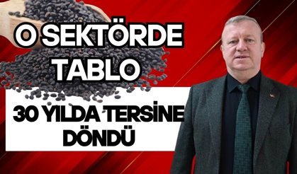 O sektörde tablo 30 yılda tersine döndü