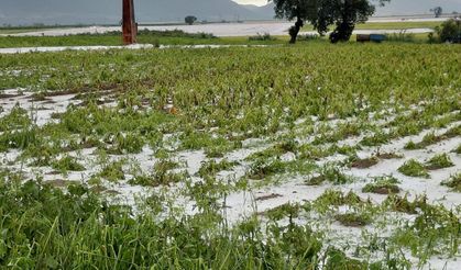 Adana'da dolu yağışı etkili oldu