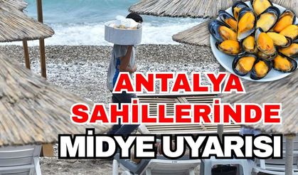 Antalya sahillerinde mideye uyarısı