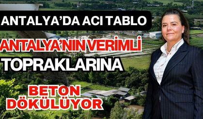 Antalya’da acı tablo! Antalya’nın verimli topraklarına beton dökülüyor