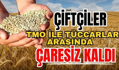 Çiftçiler TMO ile tüccarlar arasında çaresiz kaldı