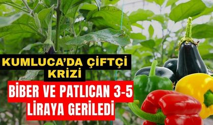 Kumluca’da çiftçi krizi! Biber ve Patlıcan 3-5 liraya geriledi