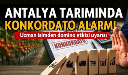 Antalya tarımında konkordato alarmı! Uzman isimden domino etkisi uyarısı