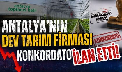 Antalya’nın dev tarım firması konkordato ilan etti