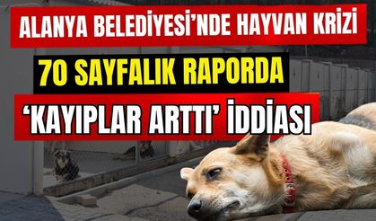 Alanya Belediyesi’nde hayvan krizi! 70 sayfalık raporda ‘Kayıplar arttı’ iddiası