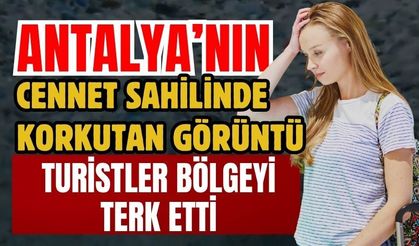Antalya’nın cennet sahilinde korkutan görüntü! Turistler bölgeyi terk etti