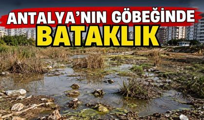 Antalya’nın göbeğinde bataklık