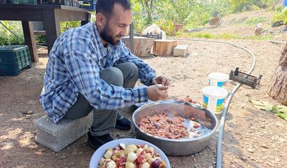 Kozan'da incir hasadı başladı