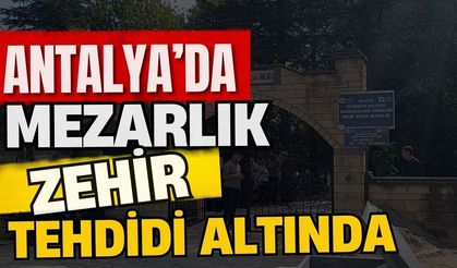 Antalya’da mezarlık zehir tehdidi altında