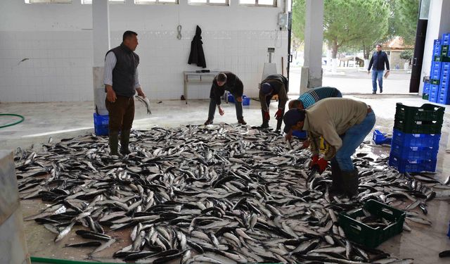 Muğla’nın Ocak ayı ihracatı 80,5 milyon dolar