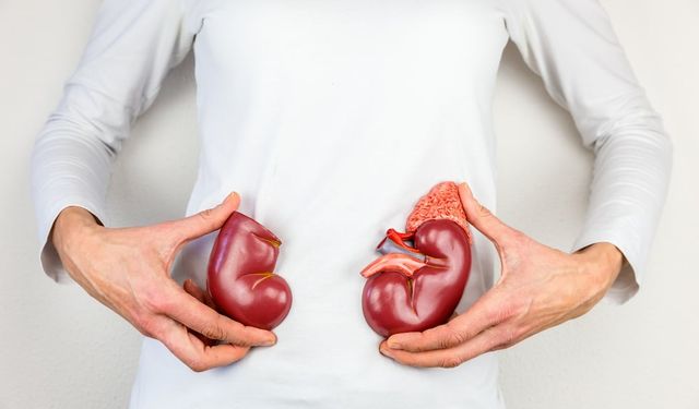 'Böbrek nakli sonrası konforlu yaşam mümkün'