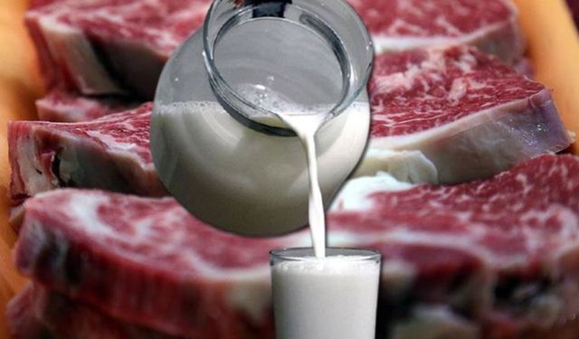 Et fiyatları arttı, süt düştü… İnekler kesime gidiyor