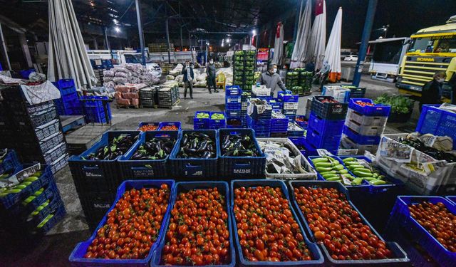 İhracatta 'Özel analiz' sorunu; fiyatlar 3 katına çıktı