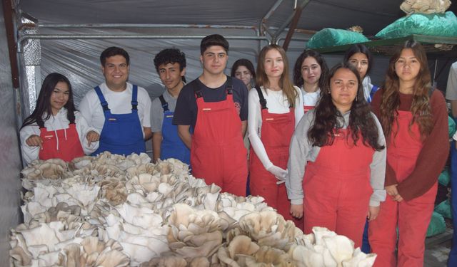 Tarım lisesi öğrencileri, özel eğitim öğrencileriyle mantar hasadı yaptı