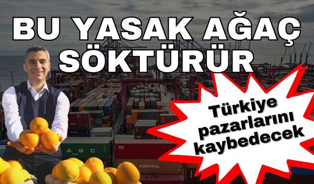 Bu yasak ağaç söktürür… İhracat yasağının detayları belli oldu