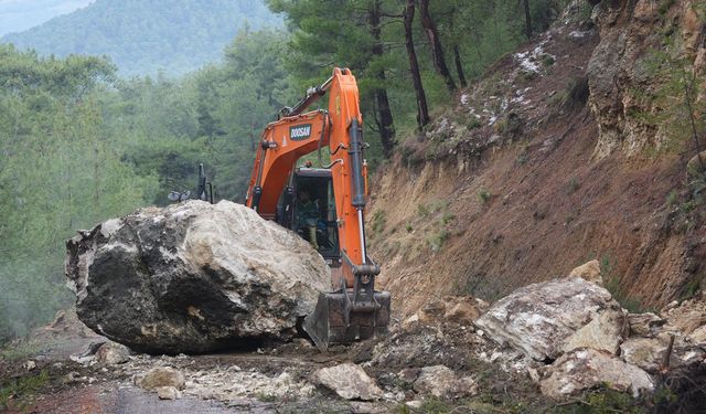 Dev kaya yola düştü, tarım alanları zarar gördü