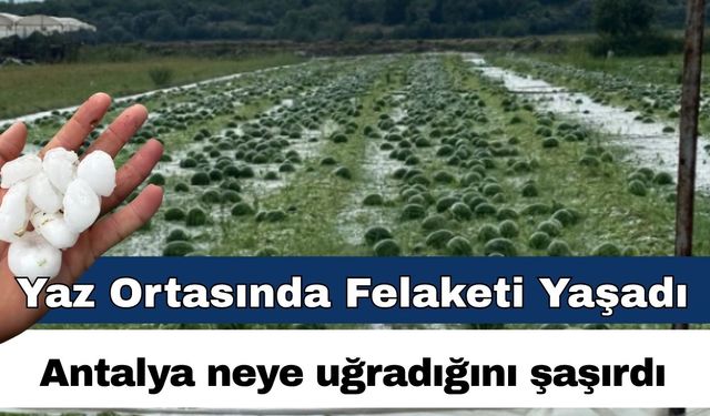 Antalya’da yaz ortasında dolu afeti