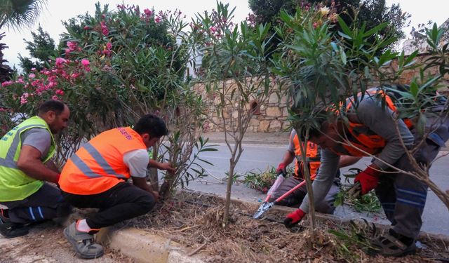 Bodrum Belediyesi ekipleri saha çalışmalarında hız kesmiyor