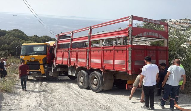 Bodrum'da korkunç kaza... İki araç arasında sıkışan adam hayatını kaybetti