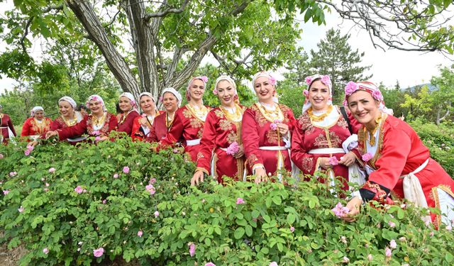 Uluslararası Isparta Gül Festivali’nde coşku doruklara çıktı... Tarladan gül hasadı yapıldı