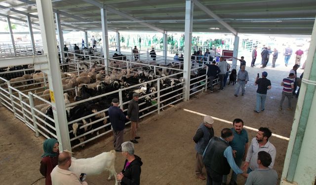 Korkuteli’nde kurbanlık satışları başladı