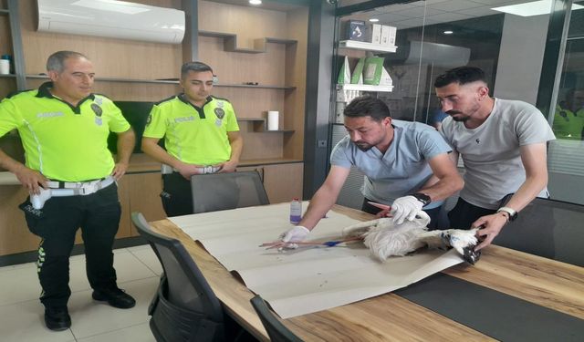 Konya’da polis ekipleri denetim sırasında buldukları yaralı leyleği tedavi ettirdi