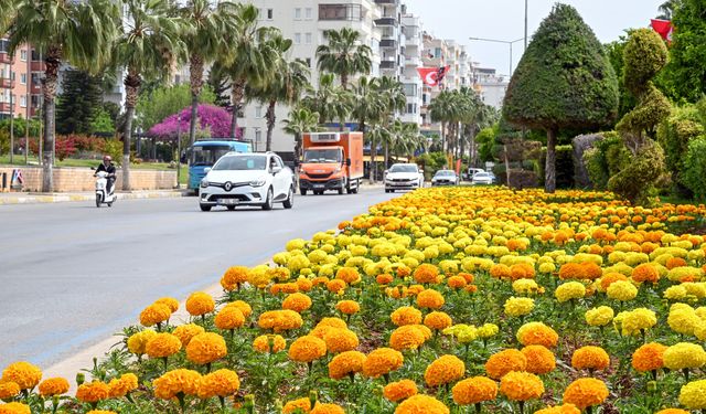 Mersin'in estetiği fidanlık yerleşkesinden sağlanıyor