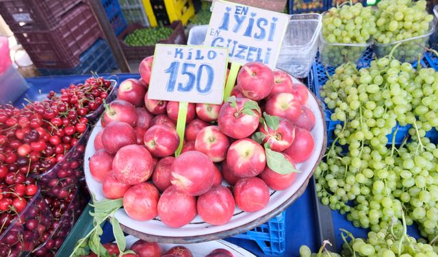 Antalya pazarlarındaki son durum içler acısı